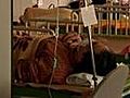 Japan doctors fear health crisis
