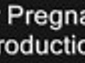 Mr Pregnant 