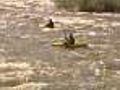 Rafting Companies Welcome The Heavy Rain