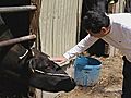 「計画的避難」始まる　福島・飯舘村