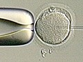 IVF Success Calculator