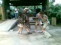 Dreamnight at the zoo Enfants au safari de peaugre