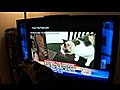 Cat watches herself on national television!