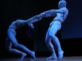 A performance merging dance and biology