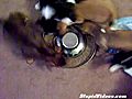 Puppies Perform Choreographed Eating Routine