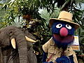 Grover And The Elephant