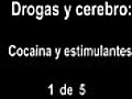 Drogas y cerebro: 1 de 5 documentales