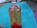 Science Experiment Homemade Lava Lamp Video