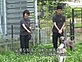 日本聴導犬・介助犬訓練士学院の一日