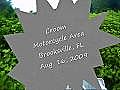 Brooksville Aug 16,  2009 - Clip 1