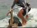 Surfing Peruvian Alpaca
