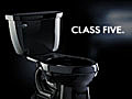 Class Five(TM) Flushing System