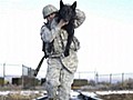SEALs used combat dog in bin Laden raid