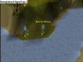 guia de fishing para runescape