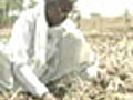 Farm loan waiver operational from today