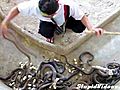 Cleaning A Cobra Pit