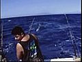 Reeling in a Sail Fish