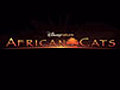 African Cats - &quot;Still King&quot;