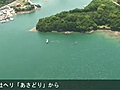 和歌山・田辺に迷いクジラ