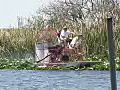 Royalty Free Stock Video HD Footage Airboat Passes by in the Florida Everglades