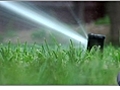 How to Water your New Lawn