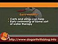 Dog Physical Therapy from Hip Dysplasia