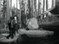 From the Bush to the Bungalow (1920) - Clip 3: Unity is strength