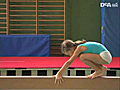 Ginnastica artistica - Lo sport