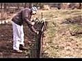 How To Fence A Vegetable Garden