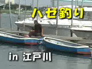 ハゼ釣りin江戸川