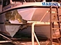 Marine rescue boat hits whale