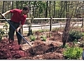 How to Spread Mulch