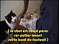 Betisier interview parodique de la série Chat Minou