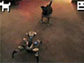 Dog vs. Robot Viral Video