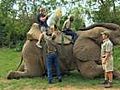 Brad and Emily go for an Elephant Ride