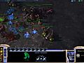 sc2bw