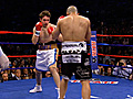 Miguel Cotto vs Alfonso Gomez 4/12/08 - Fight Highlights