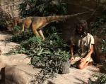 Dinosaurs,  Humans Coexist at Creation Museum
