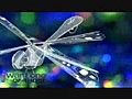 RC Dragon Fly from iwantoneofthose.com