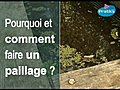 Pourquoi et comment faire un paillage