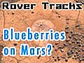 Rover Tracks: Blueberries on Mars?