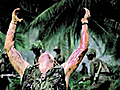 Platoon - Trailer