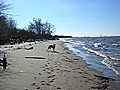 running on the beach