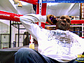 Floyd Mayweather vs. Shane Mosley 1/05/10 - Trainer Talk