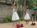 Free Maui Hula Shows: Lahaina Center