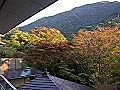 ほんのり色づく初秋の景色－箱根吟遊にて－　2010年11月5日