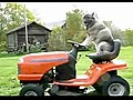 Lawn Maintenance Dog