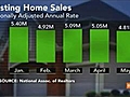 U.S. Existing-Home Sales Fell in May to Six-Month Low