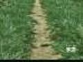 Farmers Struggle To Stop Crops From Burning