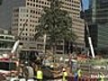 A tree grows at Ground Zero